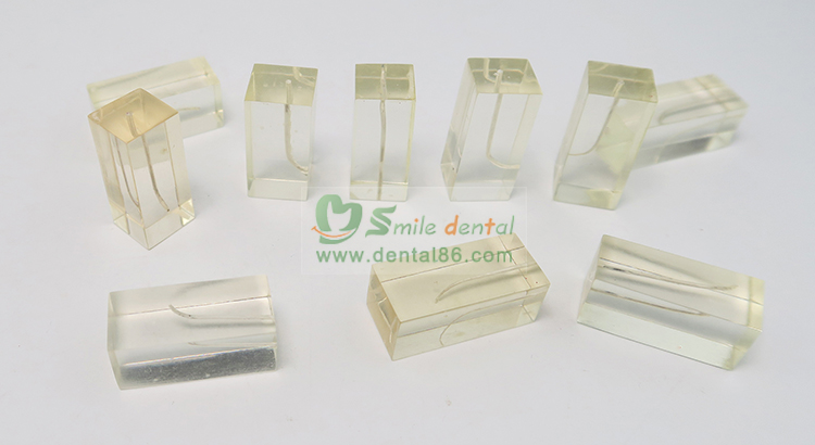 TM-N7 Dental Canal